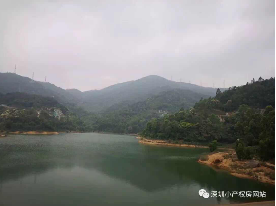 山(shān)水綠園一房一廳56平方，56.8萬/套起