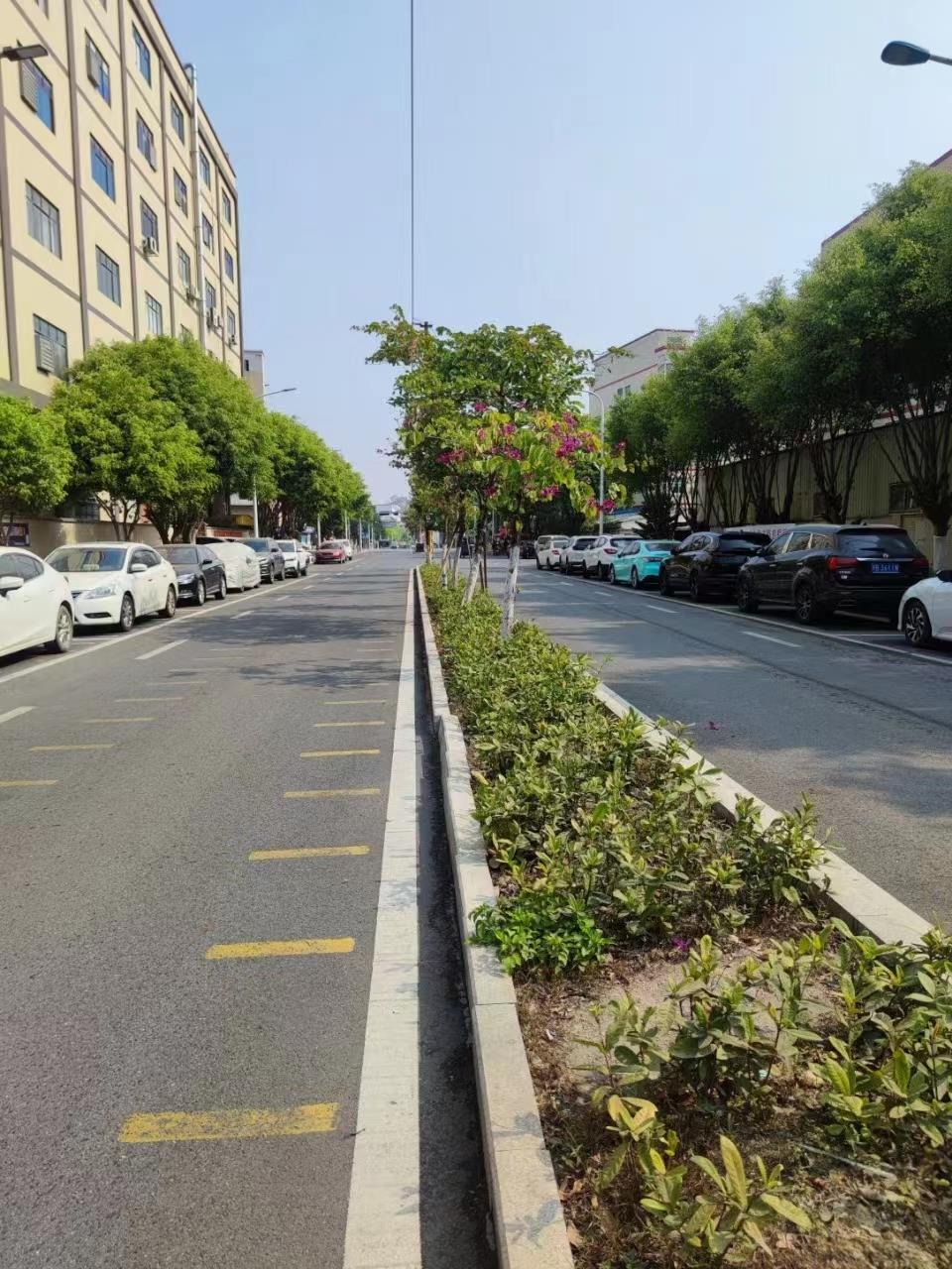 東莞大嶺山(shān)品果公(gōng)園裏