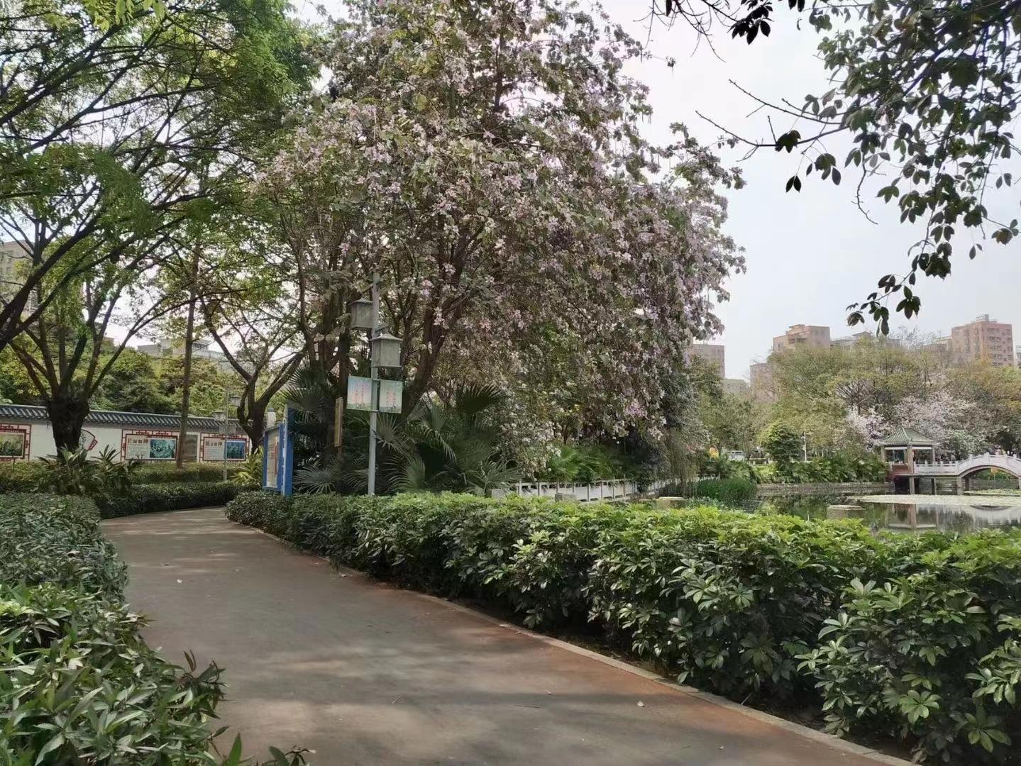 光明區(qū)新(xīn)盤風華名(míng)苑