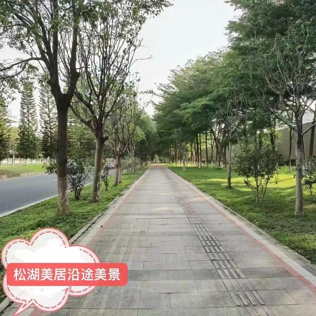 東莞淞湖(hú)美居